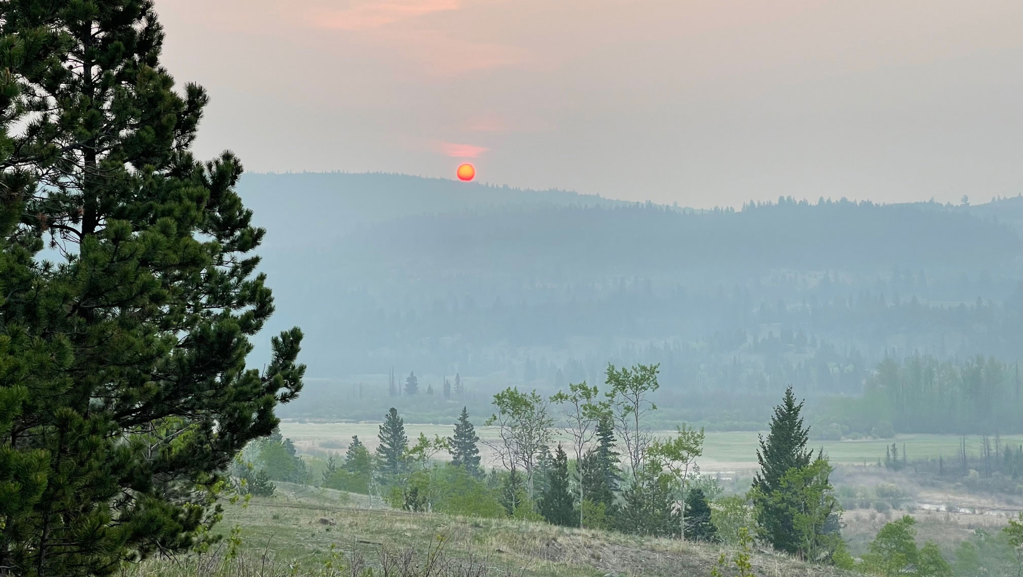 Historical fire regime in Xeni Gwet’in Territory