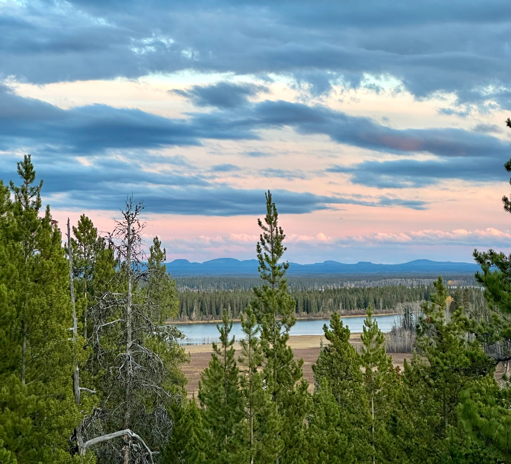Time-after-fire regeneration of woodland caribou habitat in Ulkatcho Territory