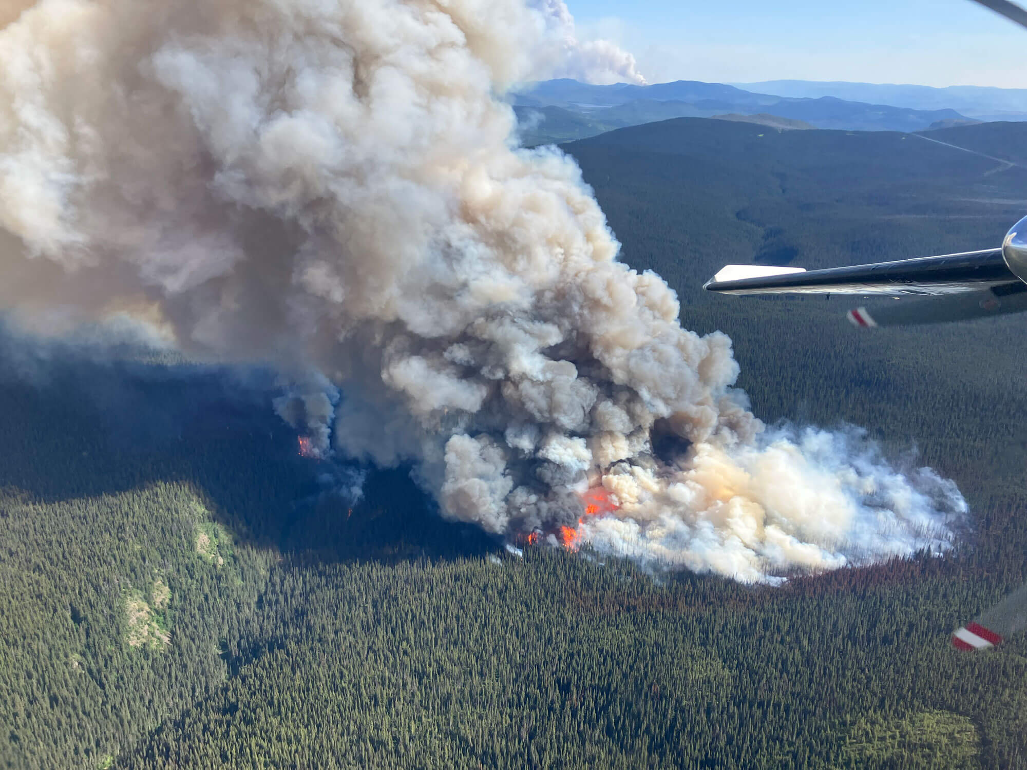 fire weather forecasts